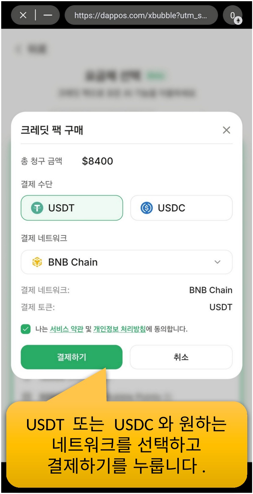 USDT 또는 USDC와 원하는 네트워크를 선택하고 결제하기를 누릅니다
